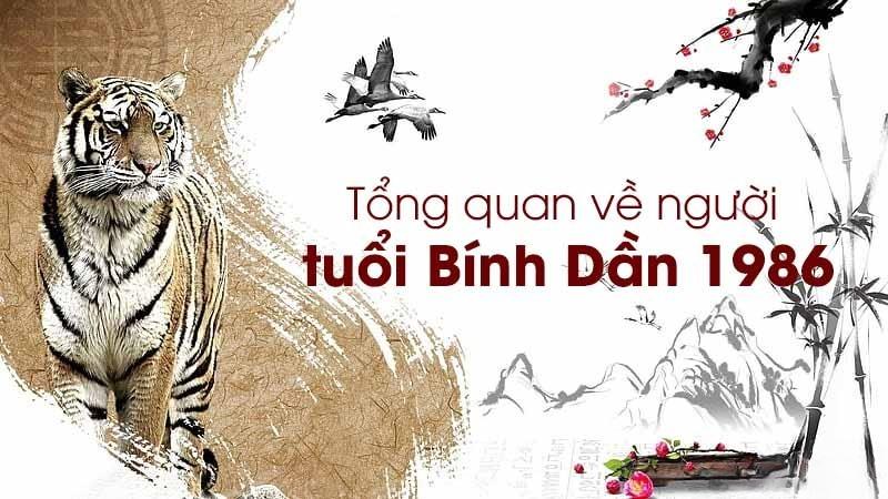 Giới thiệu chung về phong thủy tuổi Bính Dần 1986